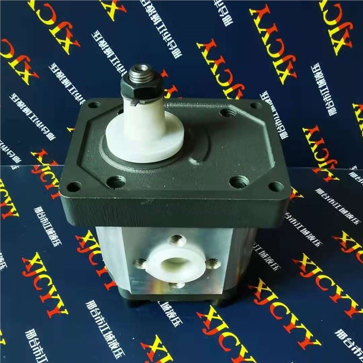 Fiat Pump 5179722
